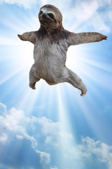 Divine Sloth Sloth God by Zenythycal on DeviantArt