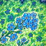 Forget-Me-Not
