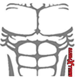 Transparent Muscles- ROBLOX by SkullxPhoto on DeviantArt