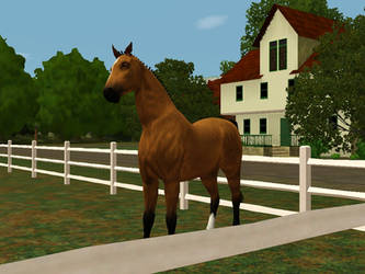 Sims 3 Horse: Morning Star