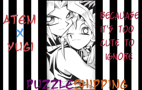 Puzzleshipping