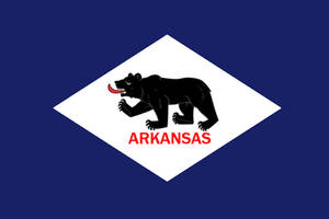 Recreation: Arkansas Bear Flag (Design #2)