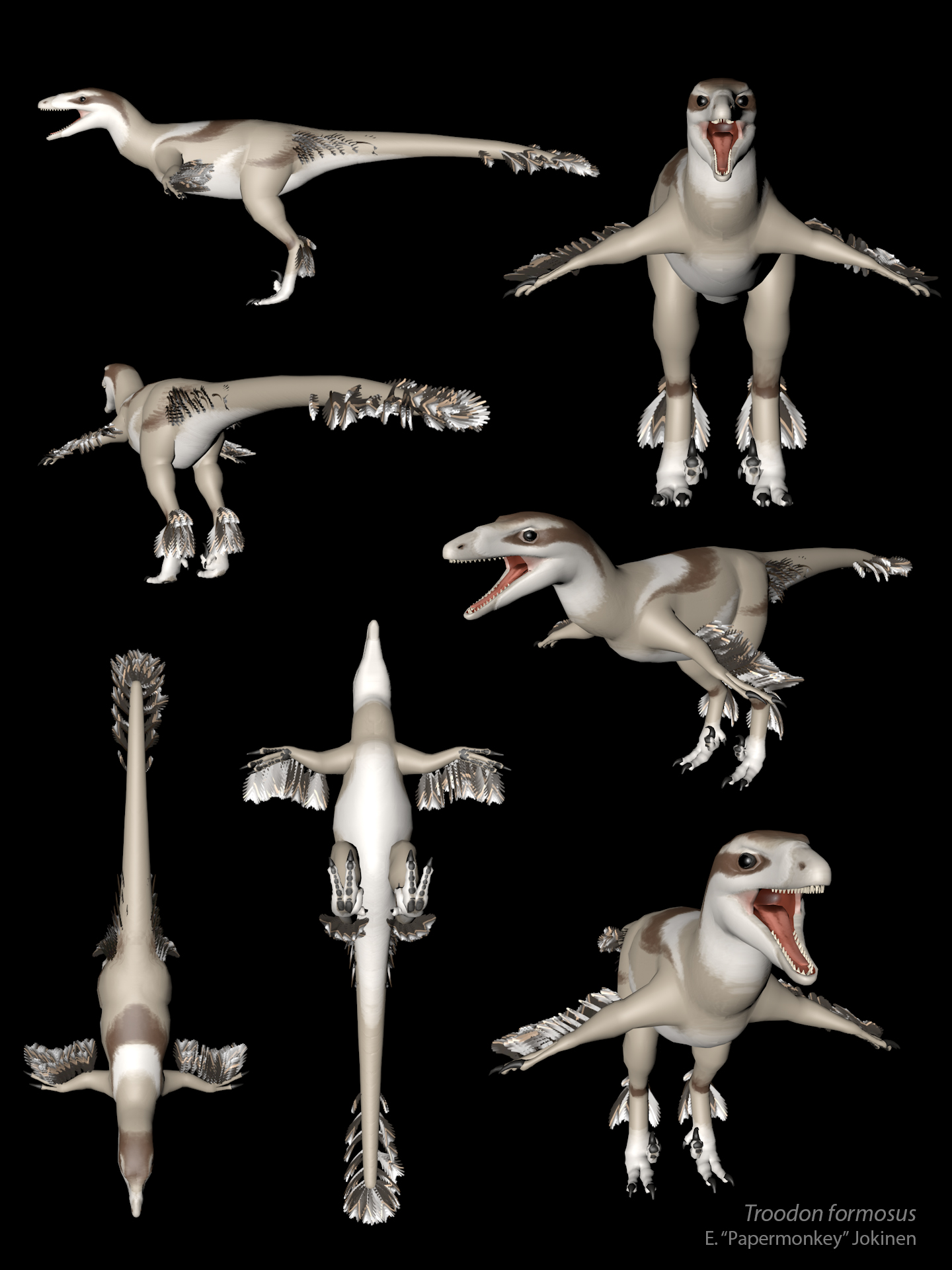 Troodon (Feathered)