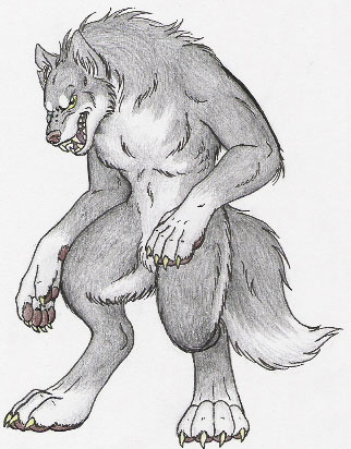 Old werewolf