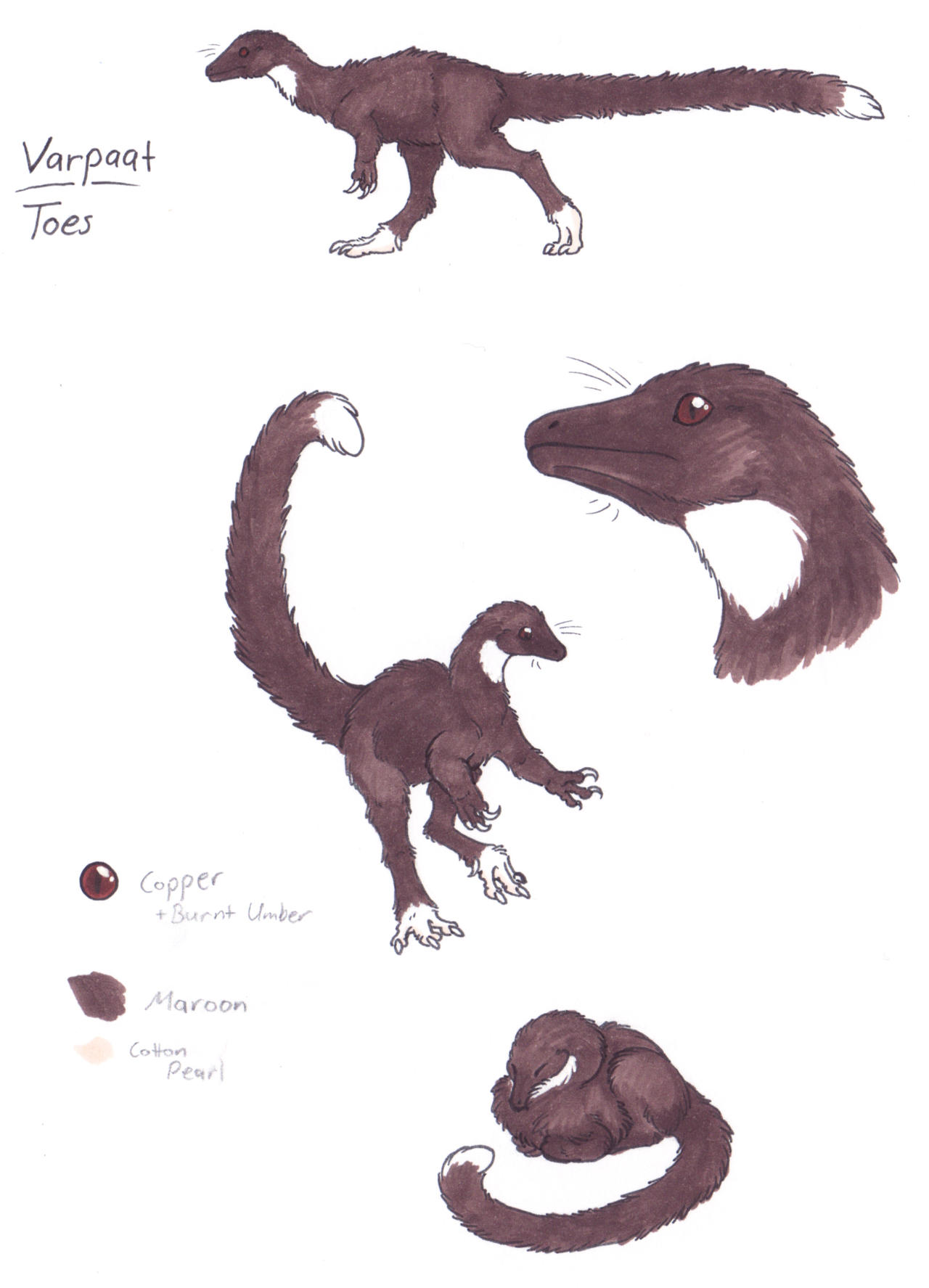 Toes Reference by Paperiapina on DeviantArt