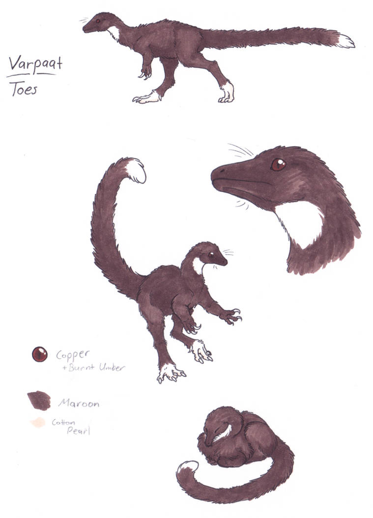 Toes Reference by Paperiapina on DeviantArt
