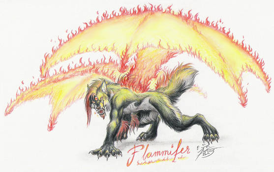 Flammifer