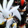 Sonic Shadow Silver Wallpaper