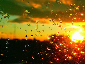 raindrops on my window