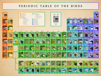 Periodic Table of the Birds