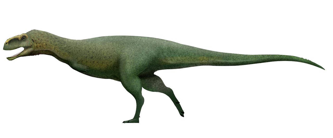 Pycnonemosaurus nevesi paleoart by HenriqueSantos2810 on DeviantArt