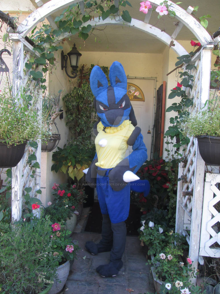 My Lucario Costume for AX 2014, 2015 by FlamieShadowTiger on DeviantArt