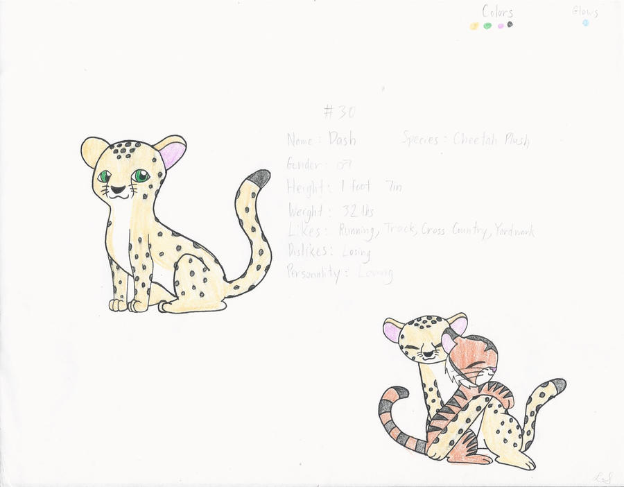 #30 Dash Reference by FlamieShadowTiger on DeviantArt