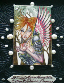 Winged Lady in Armour Framed