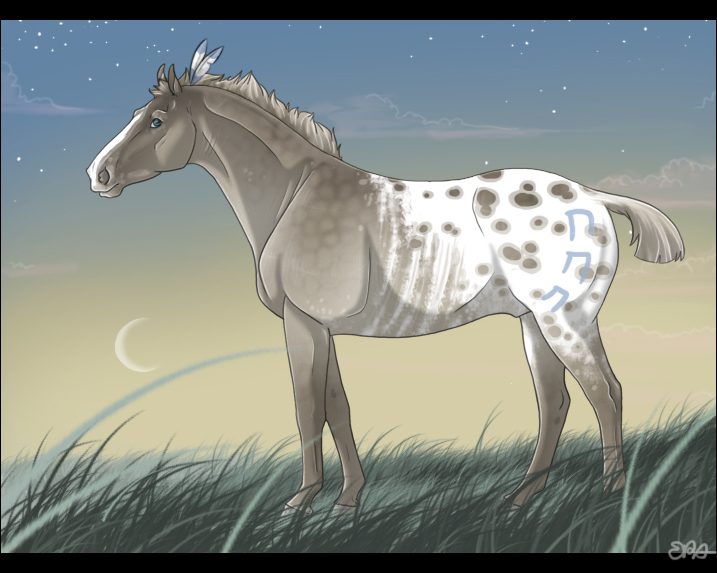 Appaloosa