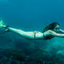 Photohunting for mermaids