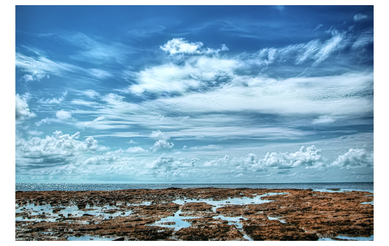 Rocky Shore