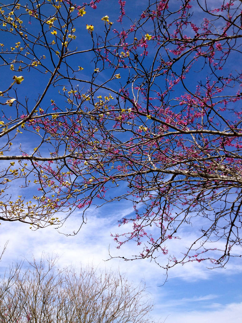 When two things collide they can be beautiful by amateurpictures on ...