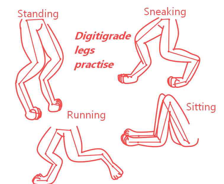 Digitigrade Practice Digitigrade Legs Practise by TheMagicalBean652 on DeviantArt