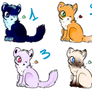 Cat Point Adoptables!