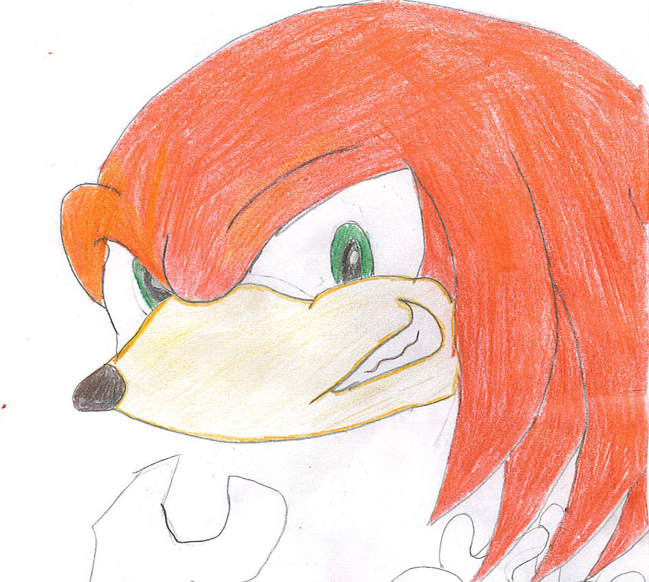 knuckles by AkiraFujisaki on DeviantArt