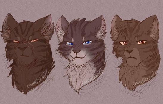 Tigerstar, Hawkfrost, Brambleclaw