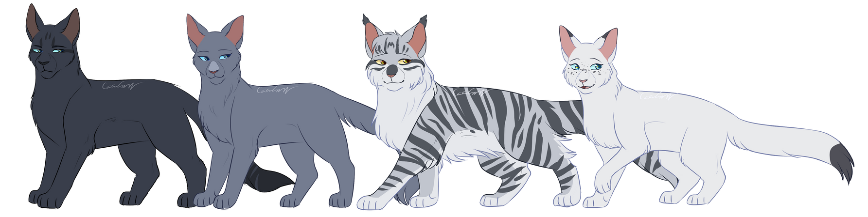 Stormtail Stormtail, Bluestar, Moonflower, Snowfur by CascadingSerenity on DeviantArt