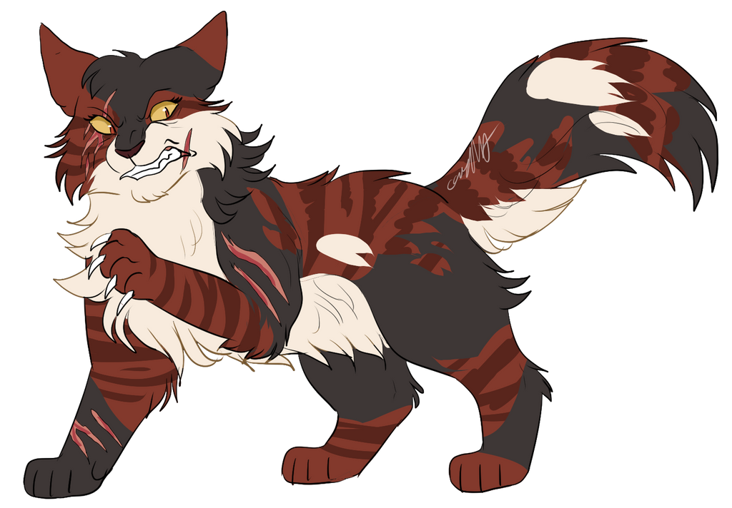 Mapleshade by CascadingSerenity on DeviantArt