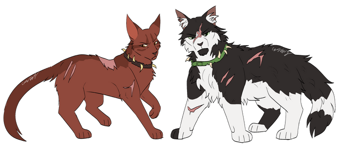 Top 20 fav Warrior cats and why! by MagnoliaTheWolf369 on DeviantArt