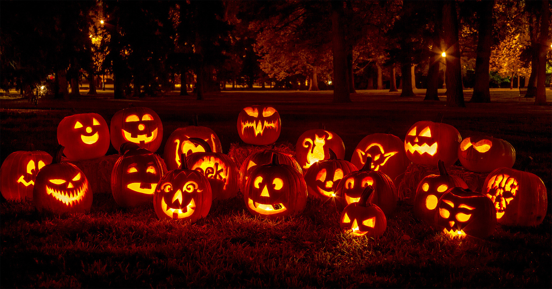 Pumpkinfeat 1445602403