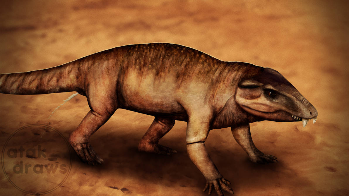 Armadillosuchus arrudai by AtakDraws on DeviantArt