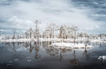Infrared 3 by st1hart