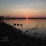 Dawn of the Lake_Photograph