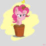 Never Break A Pinkie Promise(Pinkie in a Pot)