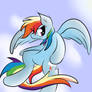 Rainbow Dash!