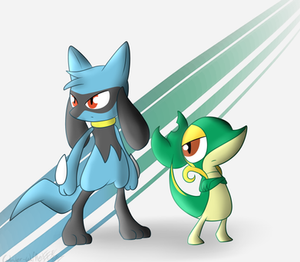 A Riolu and a Snivy