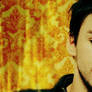 shannon leto