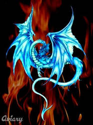 Blue dragon