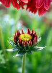 just keep me safe. by Lisa-Schneider