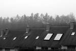 over the rooftops by Lisa-Schneider