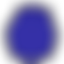 Anthro Sterry or Berrling (Blueberry Sterling)