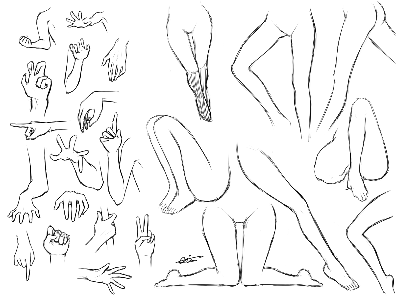 Poses of Arms n Legs