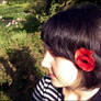 Red Flower in your Hair