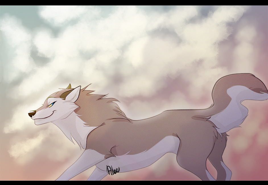 Aleu