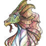 Frilly Dragon