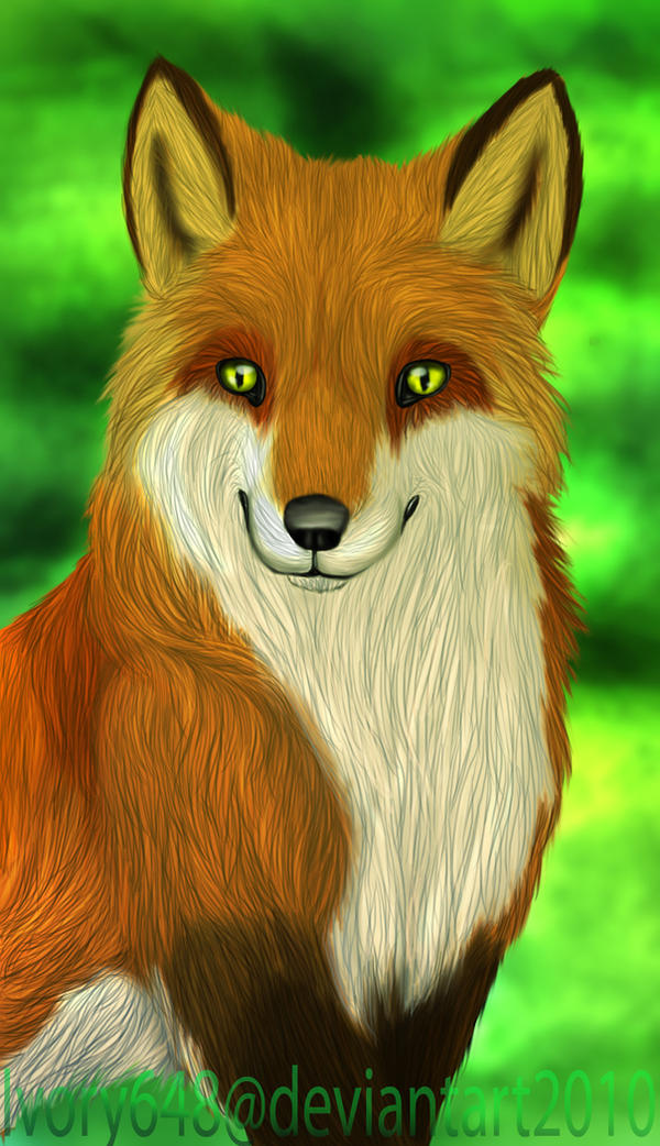 Fox Character Deviantart fox by Ivory648 on DeviantArt