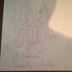 UB Temperature, Twinperature