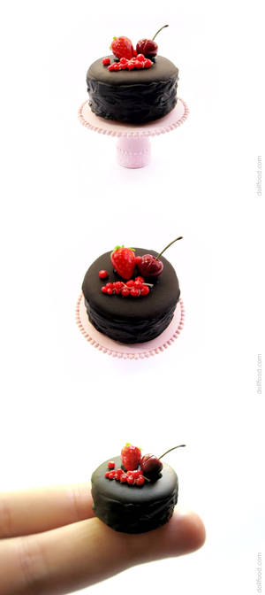 Dark chocolate cake with red berries