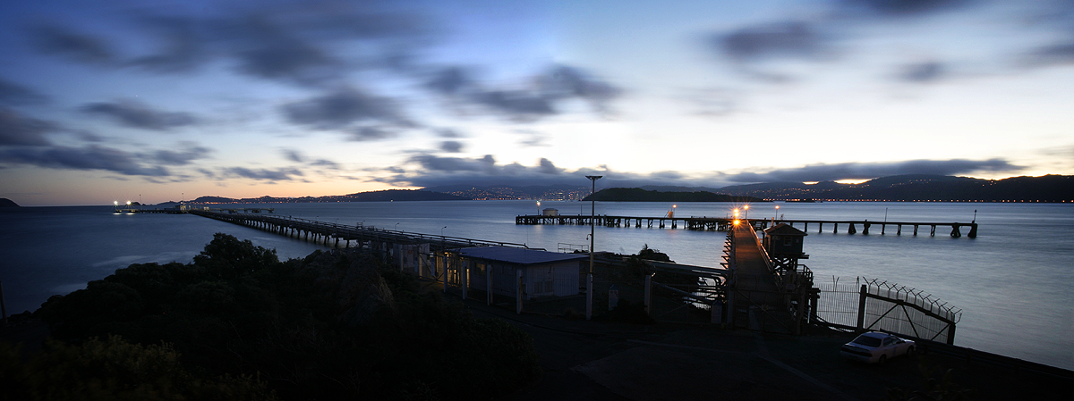 Wellington from Seaview