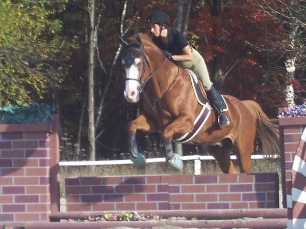 Jane and Blaze by SWF-HunterJumper on DeviantArt